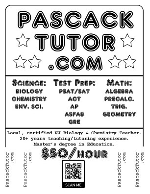 Pascack Tutor handbill--CLICK to print!
